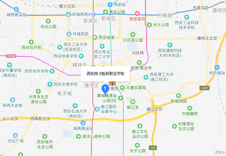 西安育才醫(yī)科職業(yè)學校地址在哪里