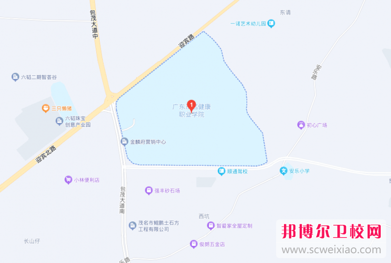 廣東茂名健康職業(yè)學(xué)院地址在哪里，哪個(gè)地區(qū)，哪個(gè)城市?