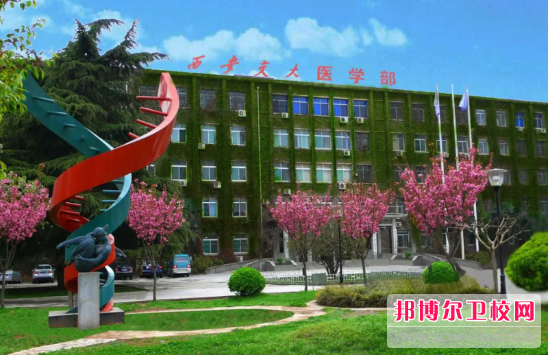 2023西安交通大學(xué)醫(yī)學(xué)院有哪些專業(yè) 西安交通大學(xué)醫(yī)學(xué)院開設(shè)的專業(yè)一覽表